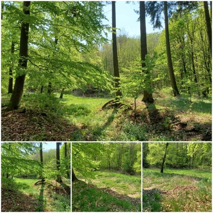 Ferienwohnung Am Sendberg Frielendorf Екстер'єр фото